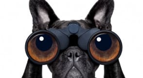 Qu'est ce que la Consent Management Platform ?