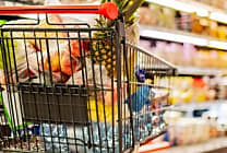Quelles sont les marques les plus choisies par les Français ?