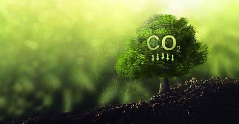 Supply chain: une action climatique encore à ses balbutiements