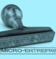 Quelles activités sont exclues de la micro-entreprise ?